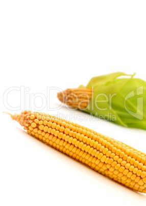 Corn