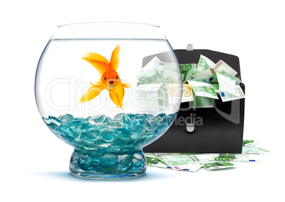 Goldfish with money