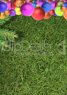 Christmas spruce  texture