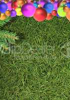 Christmas spruce  texture