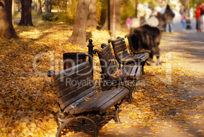 Autumn park