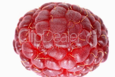 Red cherry Red cherry