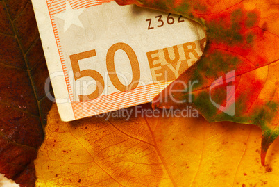 Fifty euro banknote between autumn leaves