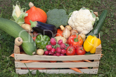 Frisches Gemüse in einer Holzkiste