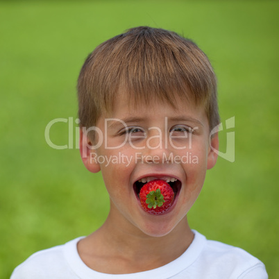 Kleiner Junge isst eine Erdbeere