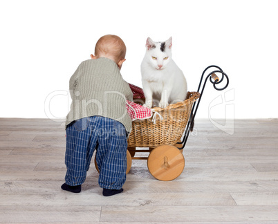 Baby giving a cat a ride in a pram