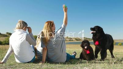 People Enjoying Outdoor With Pets