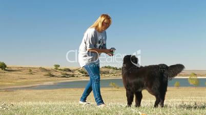 Young Woman Training Newfoundland Dog Outdoor