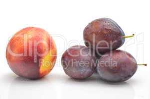 nectarines and plums on a white background