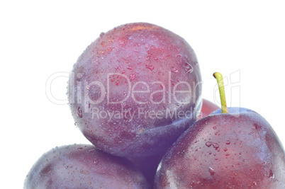 plums on a white background, close-up
