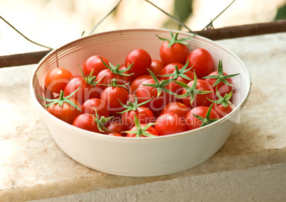 Freshly Picked Cherry Tomatoes