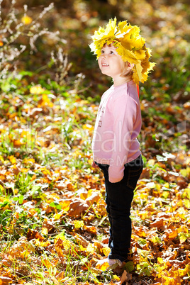 beautiful little girl in a wreath of maple leaves in autumn fore