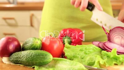 Woman's hands cutting bulb onion