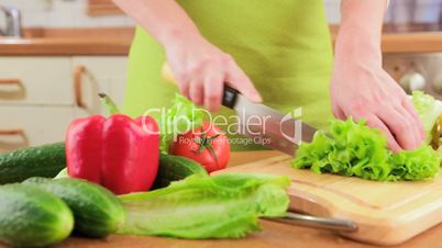 Woman's hands cutting vegetables