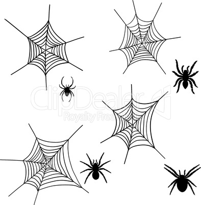 spider net set