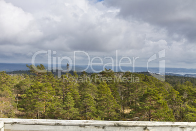 view over forest with cloudy sky