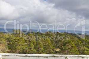 view over forest with cloudy sky