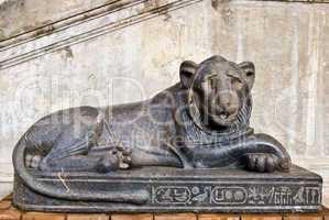 Vatican museum