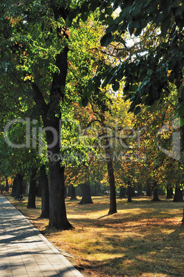 Path in Autumn Park