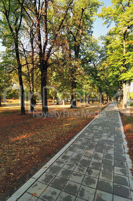 Path in Autumn Park