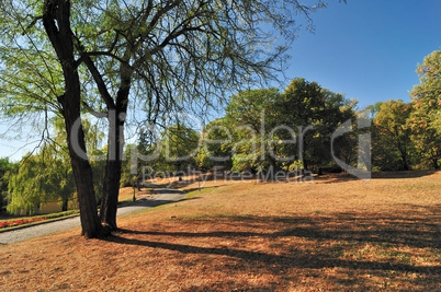 Autumn in Park