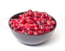 Dogberry in Bowl