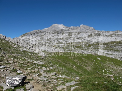 Wild Landscape In The Canton Glarus