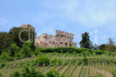 the castle of Kintzheim in Alsace