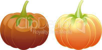 Two different orange pumpkin isolated on white