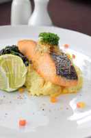 Salmon steak