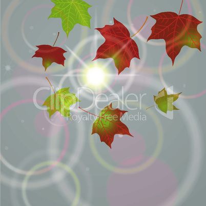 Autumn background with flying leaves
