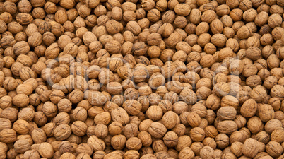 Whole Walnut Background