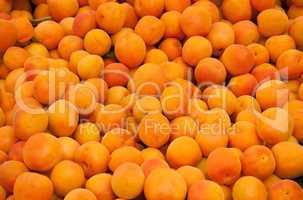 Fresh Organic Apricots