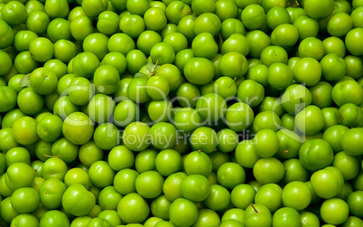 Fresh Organic Green Plums