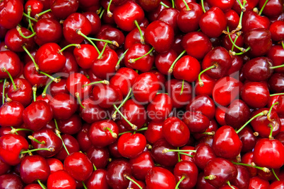 Fresh Organic Red Cherries