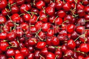 Fresh Organic Red Cherries