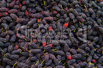 Fresh Organic Black Mulberry