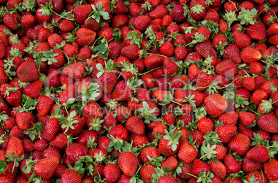 Fresh Organic Ripe Strawberrys