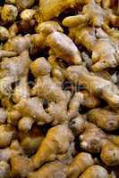 Fresh Organic Ginger In A Spice Market In Istanbul, Turkey