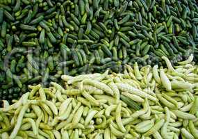 Fresh Organic Cucumber/ Gherkins At A Street Market In Istanbul,