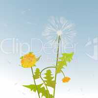 Dandelions decorative card