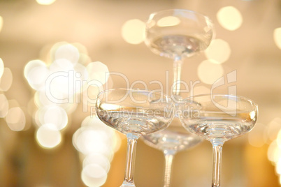 Champagne glasses