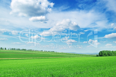 field and sky