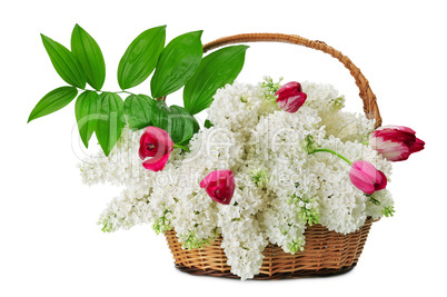 Lilacs in a basket