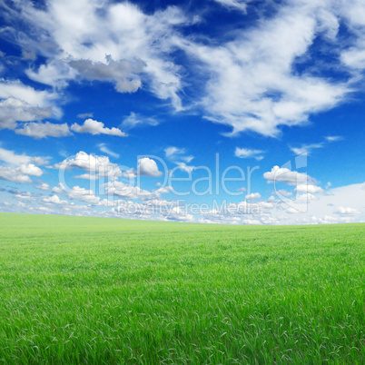 green field and sky