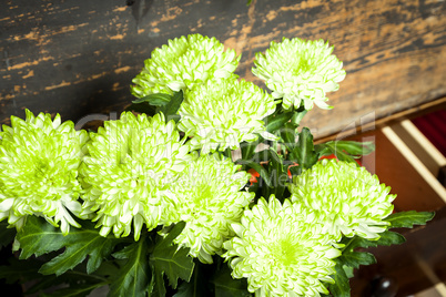 green and white flowers