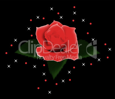 vector red rose