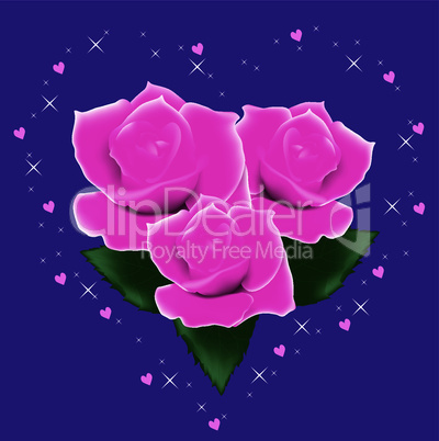 vector pink roses