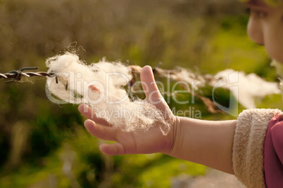 A Child Holding A Piece Of Wool