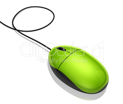 computer mouse